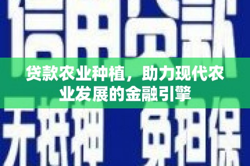 朱家尖贷款农业种植，助力现代农业发展的金融引擎