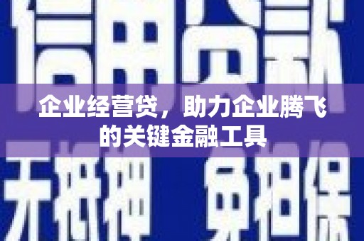 朱家尖企业经营贷，助力企业腾飞的关键金融工具