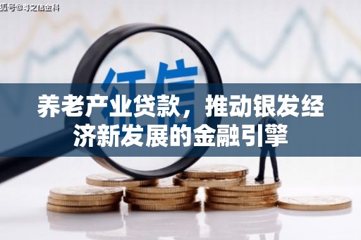 朱家尖养老产业贷款，推动银发经济新发展的金融引擎