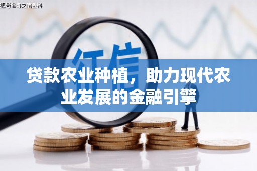 朱家尖贷款农业种植，助力现代农业发展的金融引擎