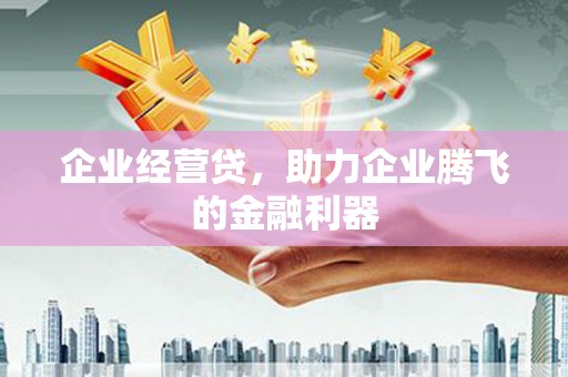 朱家尖企业经营贷，助力企业腾飞的金融利器