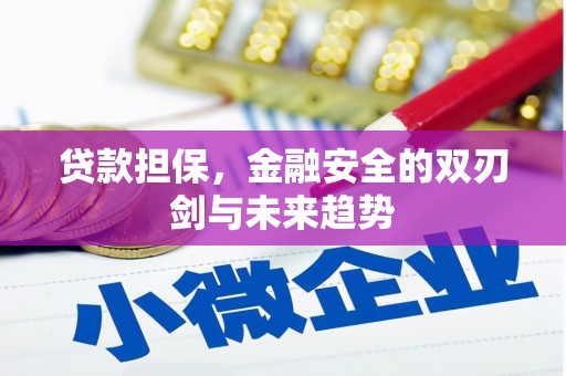 朱家尖贷款担保，金融安全的双刃剑与未来趋势