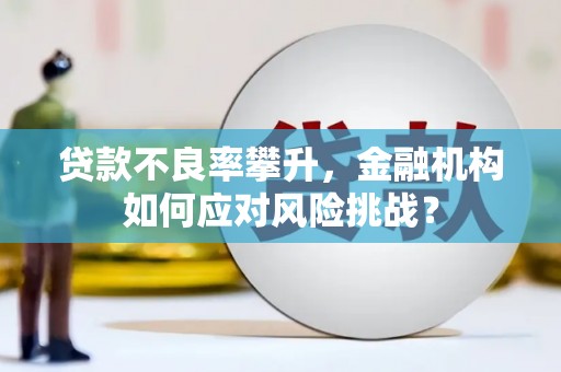 朱家尖贷款不良率攀升，金融机构如何应对风险挑战？