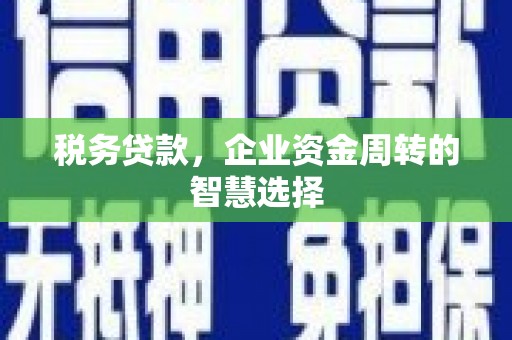 朱家尖税务贷款，企业资金周转的智慧选择