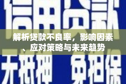 朱家尖解析贷款不良率，影响因素、应对策略与未来趋势
