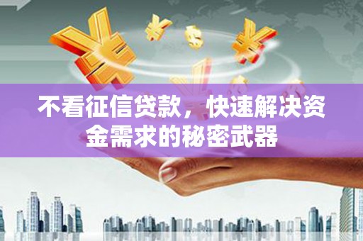 朱家尖不看征信贷款，快速解决资金需求的秘密武器