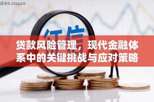 朱家尖贷款风险管理，现代金融体系中的关键挑战与应对策略