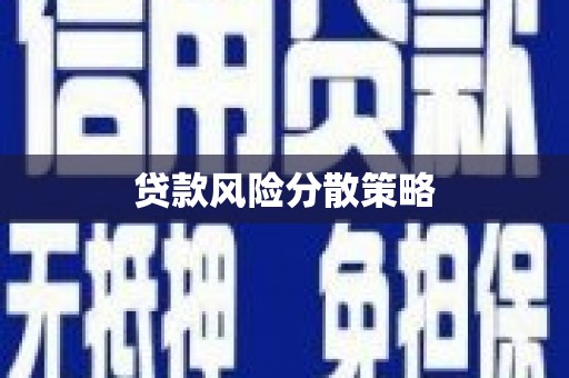 朱家尖贷款风险分散策略