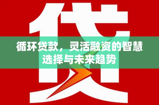 朱家尖循环贷款，灵活融资的智慧选择与未来趋势