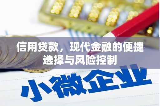 朱家尖信用贷款，现代金融的便捷选择与风险控制