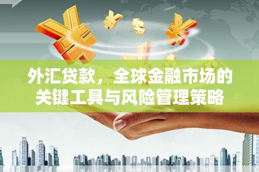 朱家尖外汇贷款，全球金融市场的关键工具与风险管理策略