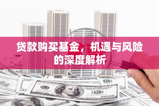 朱家尖贷款购买基金，机遇与风险的深度解析