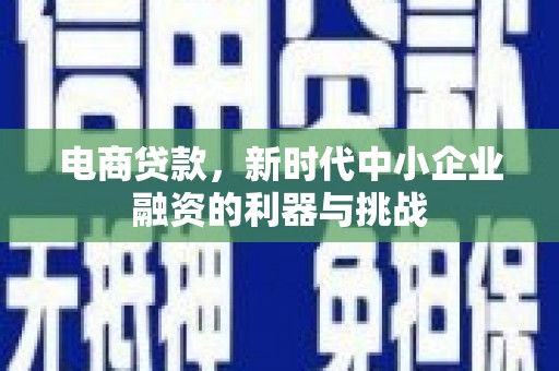 朱家尖电商贷款，新时代中小企业融资的利器与挑战