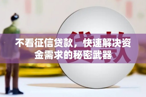 朱家尖不看征信贷款，快速解决资金需求的秘密武器