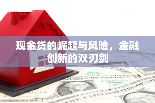 朱家尖现金贷的崛起与风险，金融创新的双刃剑