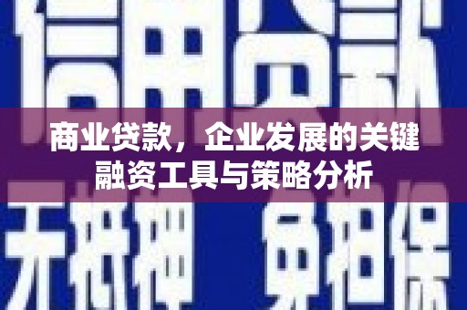 朱家尖商业贷款，企业发展的关键融资工具与策略分析