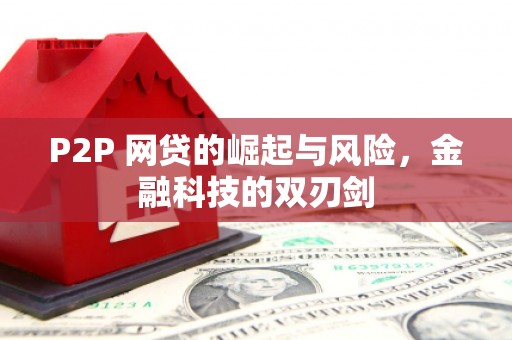 朱家尖P2P 网贷的崛起与风险，金融科技的双刃剑