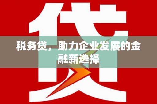 朱家尖税务贷，助力企业发展的金融新选择
