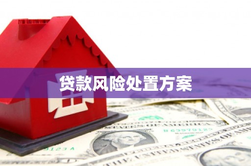 朱家尖贷款风险处置方案