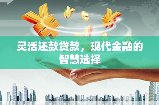 朱家尖灵活还款贷款，现代金融的智慧选择