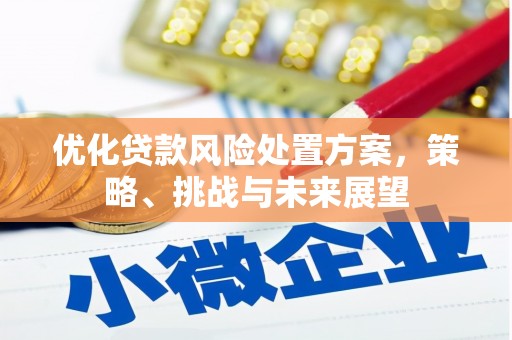 朱家尖优化贷款风险处置方案，策略、挑战与未来展望
