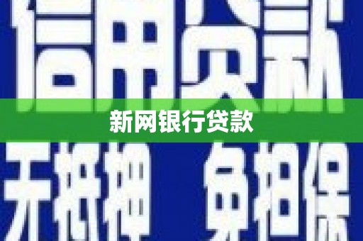 朱家尖新网银行贷款