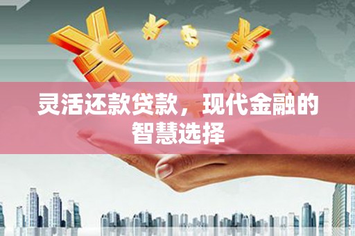 朱家尖灵活还款贷款，现代金融的智慧选择