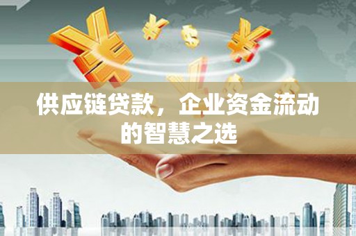 朱家尖供应链贷款，企业资金流动的智慧之选