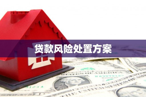 朱家尖贷款风险处置方案