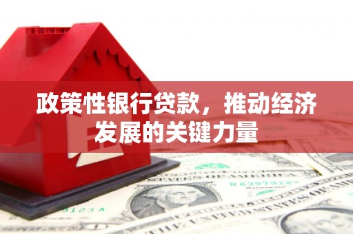 朱家尖政策性银行贷款，推动经济发展的关键力量