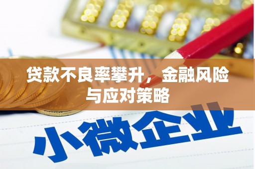 朱家尖贷款不良率攀升，金融风险与应对策略