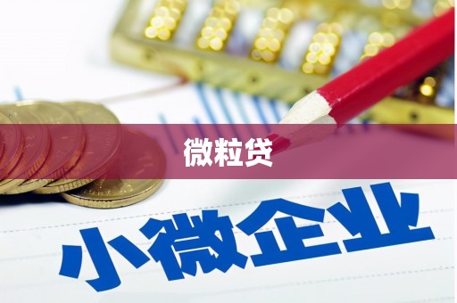 朱家尖微粒贷