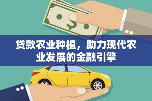 朱家尖贷款农业种植，助力现代农业发展的金融引擎