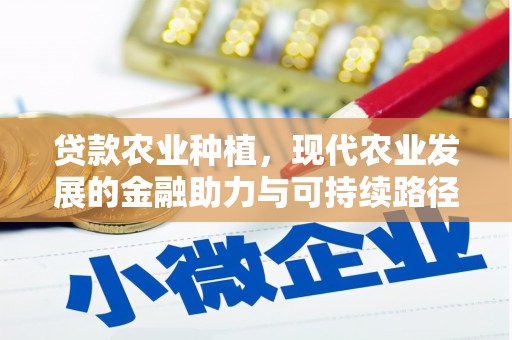 朱家尖贷款农业种植，现代农业发展的金融助力与可持续路径