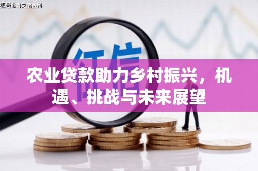 朱家尖农业贷款助力乡村振兴，机遇、挑战与未来展望