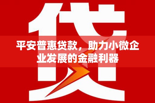 朱家尖平安普惠贷款，助力小微企业发展的金融利器