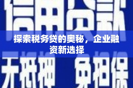 朱家尖探索税务贷的奥秘，企业融资新选择