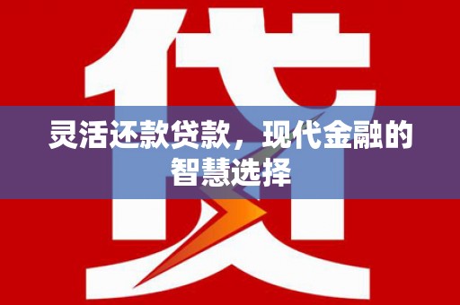朱家尖灵活还款贷款，现代金融的智慧选择
