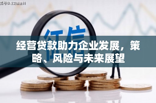 朱家尖经营贷款助力企业发展，策略、风险与未来展望