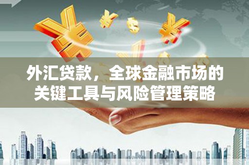 朱家尖外汇贷款，全球金融市场的关键工具与风险管理策略