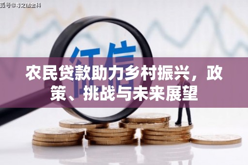 朱家尖农民贷款助力乡村振兴，政策、挑战与未来展望