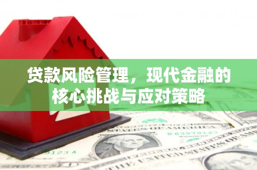 朱家尖贷款风险管理，现代金融的核心挑战与应对策略