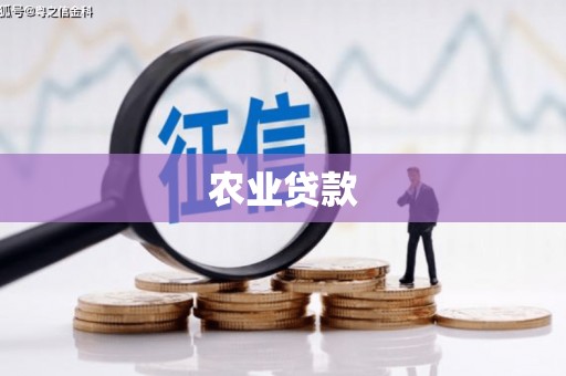 朱家尖农业贷款