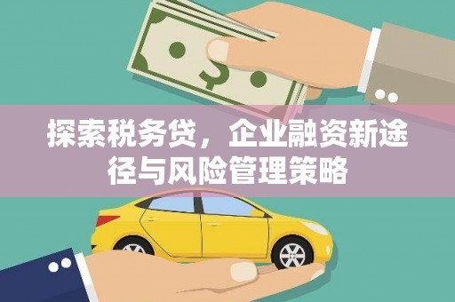朱家尖探索税务贷，企业融资新途径与风险管理策略