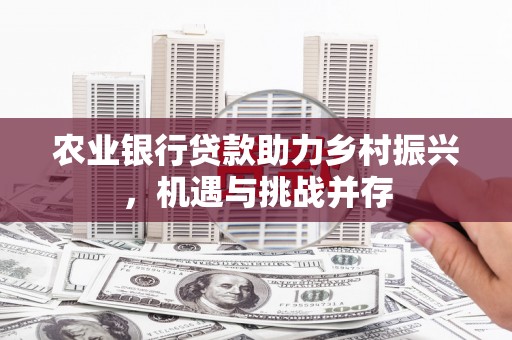 朱家尖农业银行贷款助力乡村振兴，机遇与挑战并存