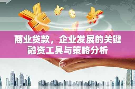 朱家尖商业贷款，企业发展的关键融资工具与策略分析