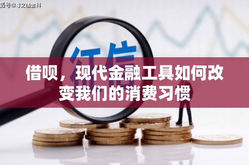 朱家尖借呗，现代金融工具如何改变我们的消费习惯