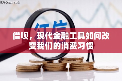 朱家尖借呗，现代金融工具如何改变我们的消费习惯