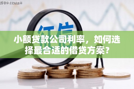 朱家尖小额贷款公司利率，如何选择最合适的借贷方案？