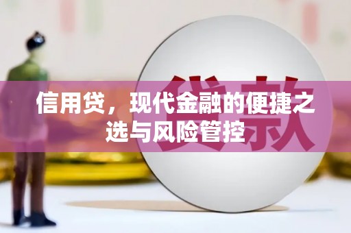 朱家尖信用贷，现代金融的便捷之选与风险管控